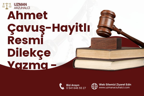 Ahmet Çavuş-Hayitlı Resmi Dilekçe Yazma - Milas