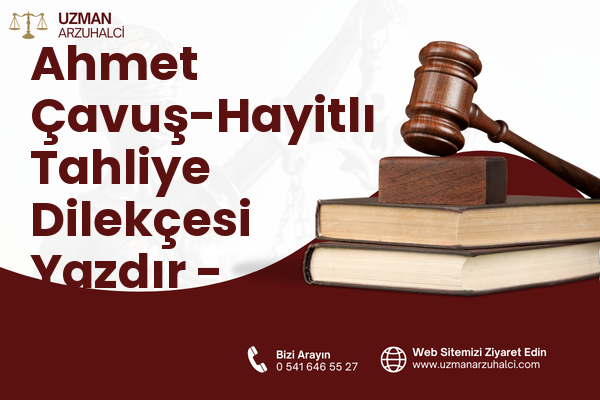 Ahmet Çavuş-Hayitlı Tahliye Dilekçesi Yazdır - Milas