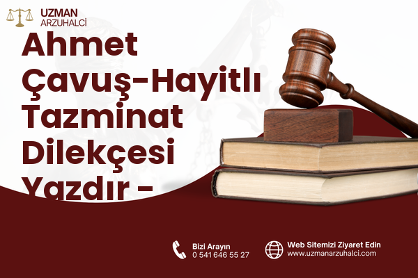 Ahmet Çavuş-Hayitlı Tazminat Dilekçesi Yazdır - Milas