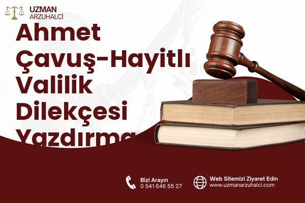 Ahmet Çavuş-Hayitlı Valilik Dilekçesi Yazdırma - Milas