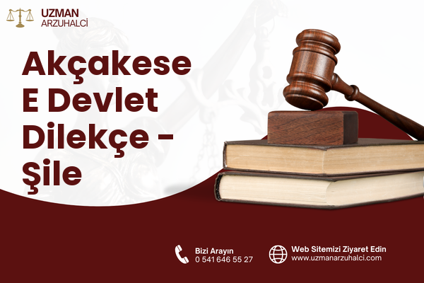 Akçakese E Devlet Dilekçe - Şile