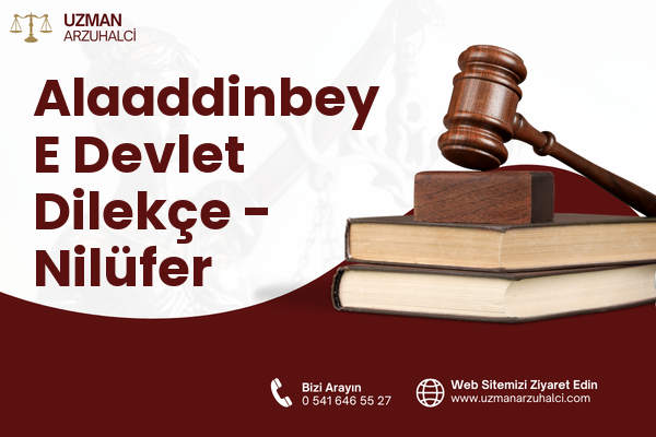 Alaaddinbey E Devlet Dilekçe - Nilüfer