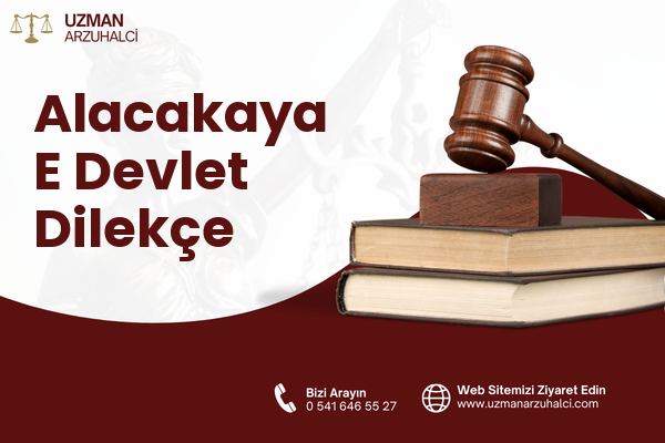 Alacakaya E Devlet Dilekçe