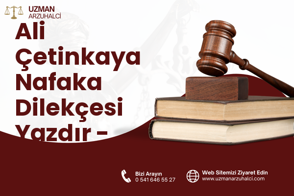 Ali Çetinkaya Nafaka Dilekçesi Yazdır - Ayvalık