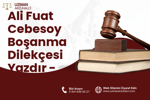Ali Fuat Cebesoy Boşanma Dilekçesi Yazdır - Karabağlar
