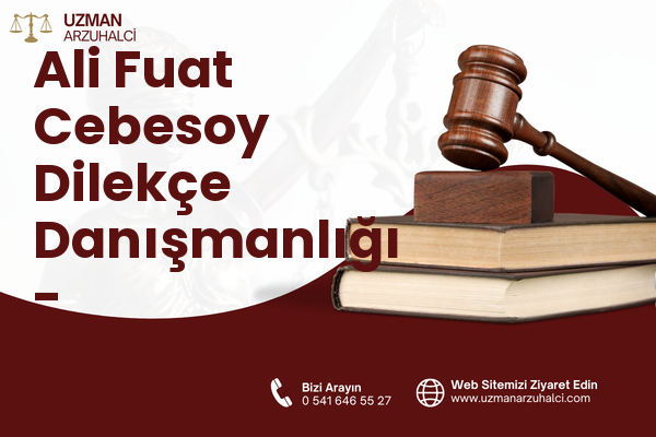 Ali Fuat Cebesoy Dilekçe Danışmanlığı - Karabağlar