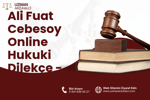 Ali Fuat Cebesoy Online Hukuki Dilekçe - Karabağlar