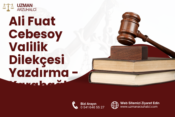 Ali Fuat Cebesoy Valilik Dilekçesi Yazdırma - Karabağlar
