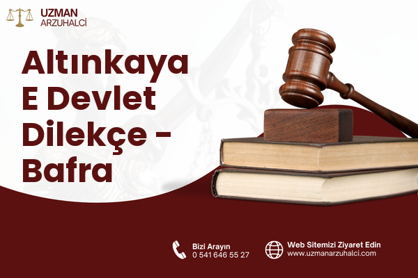 Altınkaya E Devlet Dilekçe - Bafra
