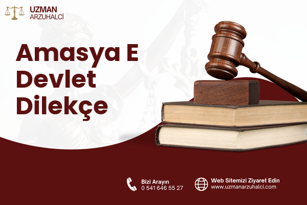 Amasya E Devlet Dilekçe