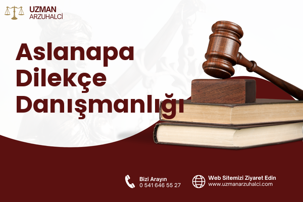 Aslanapa Dilekçe Danışmanlığı