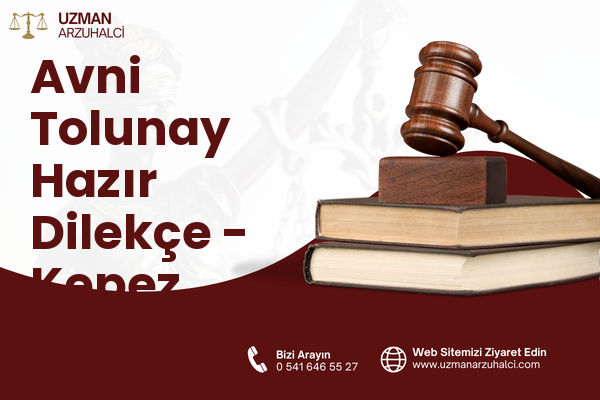 Avni Tolunay Hazır Dilekçe - Kepez