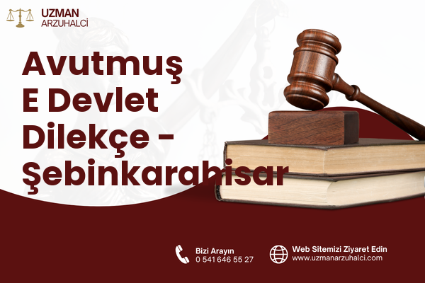 Avutmuş E Devlet Dilekçe - Şebinkarahisar