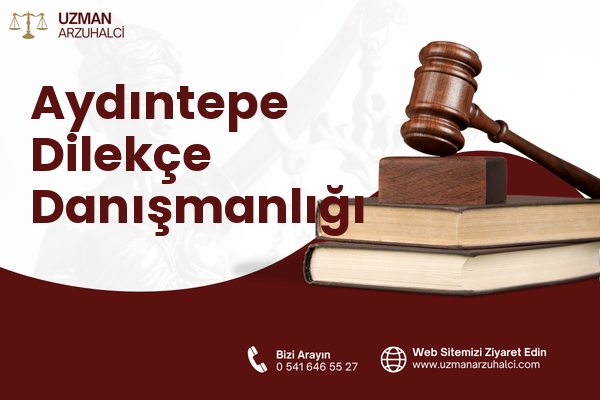 Aydıntepe Dilekçe Danışmanlığı