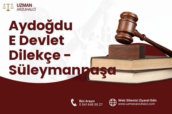 Aydoğdu E Devlet Dilekçe - Süleymanpaşa