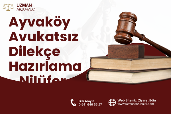 Ayvaköy Avukatsız Dilekçe Hazırlama - Nilüfer