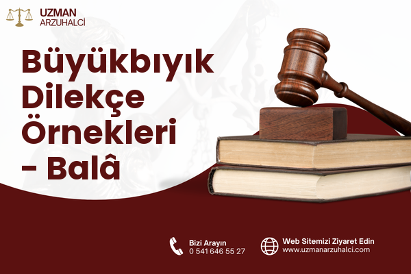 Büyükbıyık Dilekçe Örnekleri - Balâ