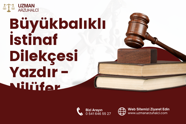 Büyükbalıklı İstinaf Dilekçesi Yazdır - Nilüfer