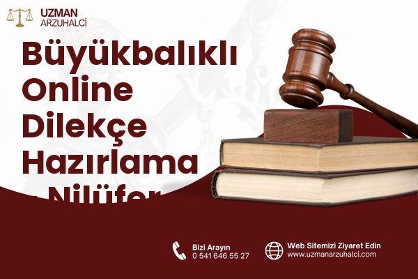 Büyükbalıklı Online Dilekçe Hazırlama - Nilüfer