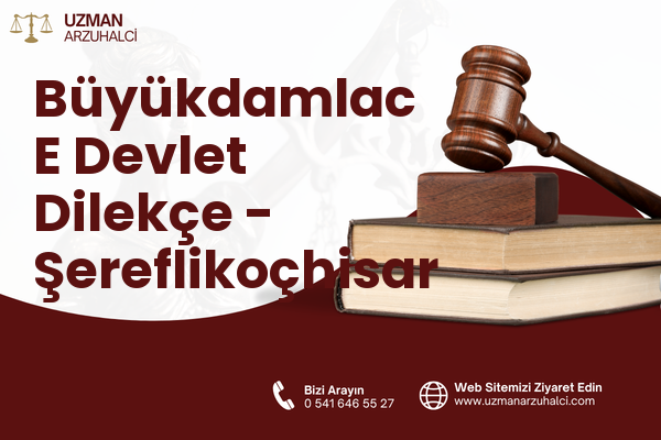 Büyükdamlac E Devlet Dilekçe - Şereflikoçhisar