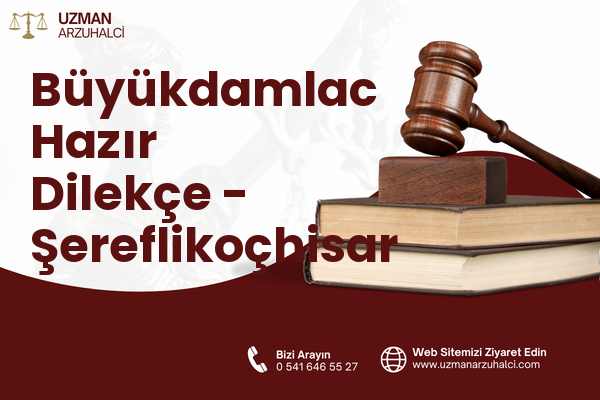 Büyükdamlac Hazır Dilekçe - Şereflikoçhisar