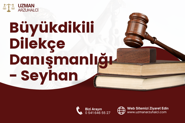Büyükdikili Dilekçe Danışmanlığı - Seyhan