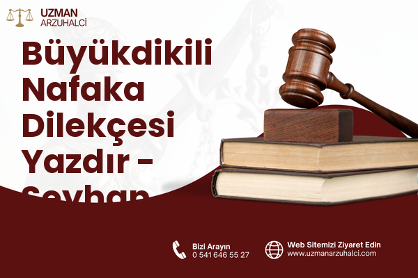 Büyükdikili Nafaka Dilekçesi Yazdır - Seyhan
