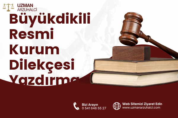 Büyükdikili Resmi Kurum Dilekçesi Yazdırma - Seyhan