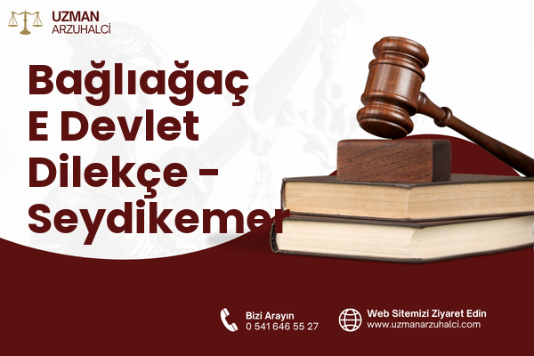 Bağlıağaç E Devlet Dilekçe - Seydikemer