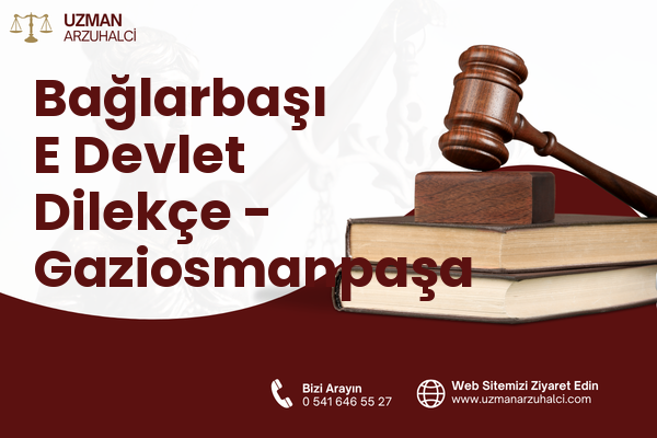 Bağlarbaşı E Devlet Dilekçe - Gaziosmanpaşa