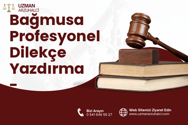 Bağmusa Profesyonel Dilekçe Yazdırma - Eyyübiye