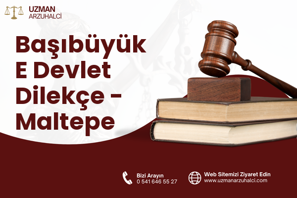 Başıbüyük E Devlet Dilekçe - Maltepe