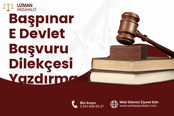 Başpınar E Devlet Başvuru Dilekçesi Yazdırma - Hendek