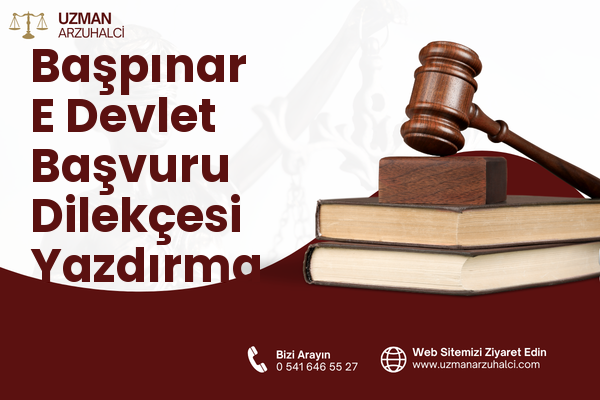 Başpınar E Devlet Başvuru Dilekçesi Yazdırma - Kırıkhan
