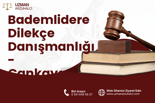 Bademlidere Dilekçe Danışmanlığı - Çankaya