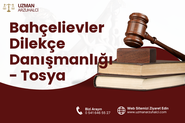 Bahçelievler Dilekçe Danışmanlığı - Tosya