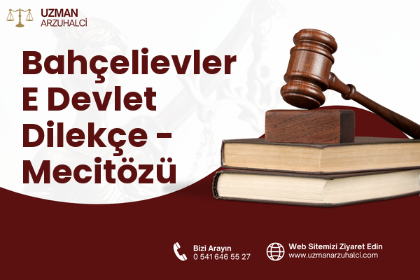 Bahçelievler E Devlet Dilekçe - Mecitözü