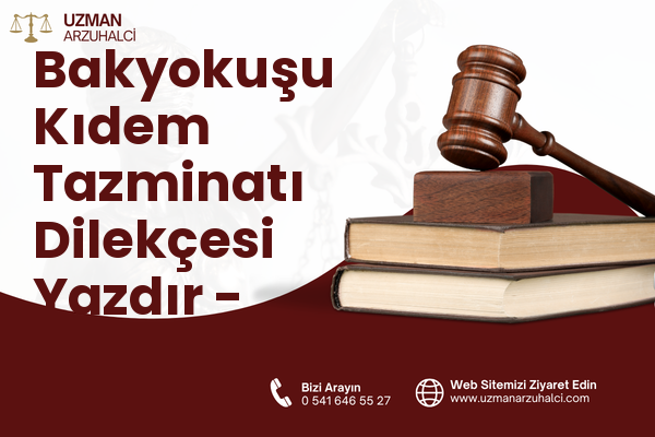 Bakyokuşu Kıdem Tazminatı Dilekçesi Yazdır - Edremit