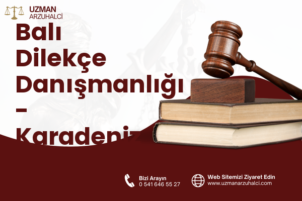 Balı Dilekçe Danışmanlığı - Karadeniz Ereğli