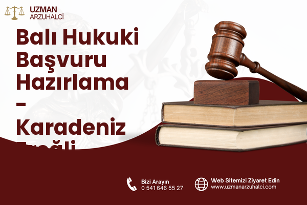 Balı Hukuki Başvuru Hazırlama - Karadeniz Ereğli