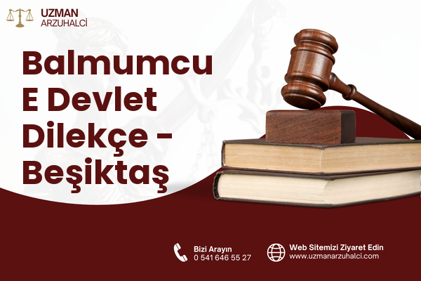 Balmumcu E Devlet Dilekçe - Beşiktaş