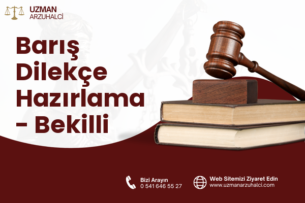 Barış Dilekçe Hazırlama - Bekilli