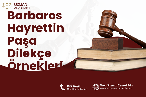 Barbaros Hayrettin Paşa Dilekçe Örnekleri - Aliağa