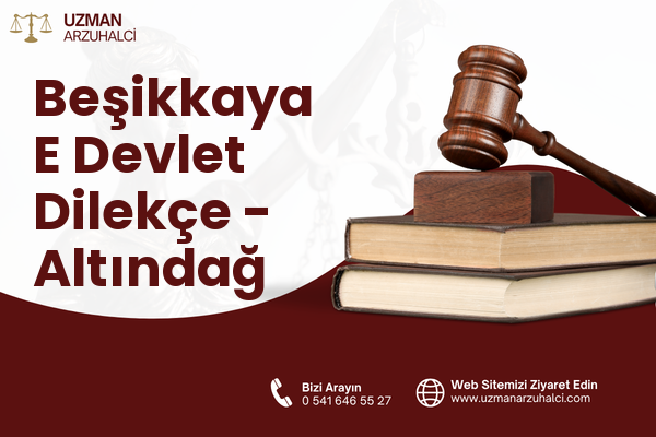 Beşikkaya E Devlet Dilekçe - Altındağ