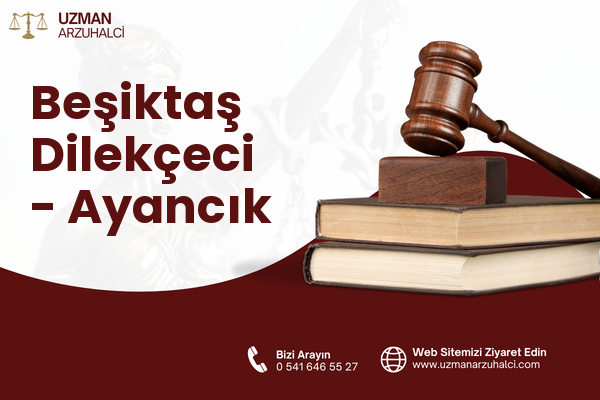 Beşiktaş Dilekçeci - Ayancık