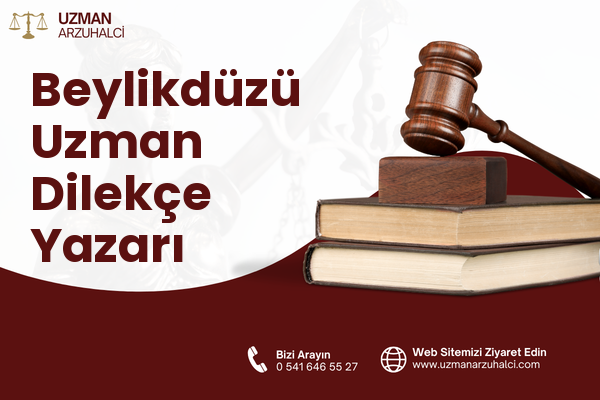 Beylikdüzü Uzman Dilekçe Yazarı