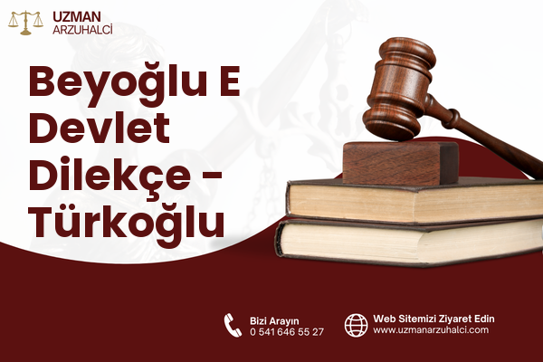Beyoğlu E Devlet Dilekçe - Türkoğlu