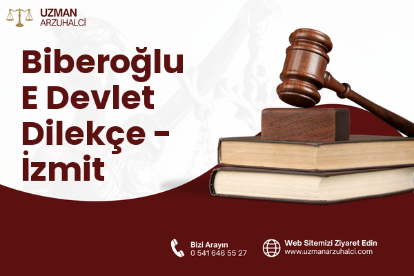 Biberoğlu E Devlet Dilekçe - İzmit