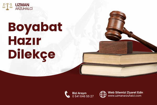 Boyabat Hazır Dilekçe