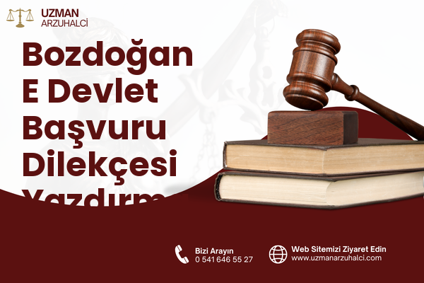 Bozdoğan E Devlet Başvuru Dilekçesi Yazdırma